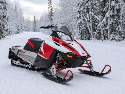 Ski-Doo MXZ 120 — Górskie — ogłoszenie demo