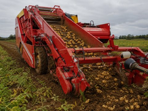 Ciągniki rolnicze Hanomag — ogłoszenie demo