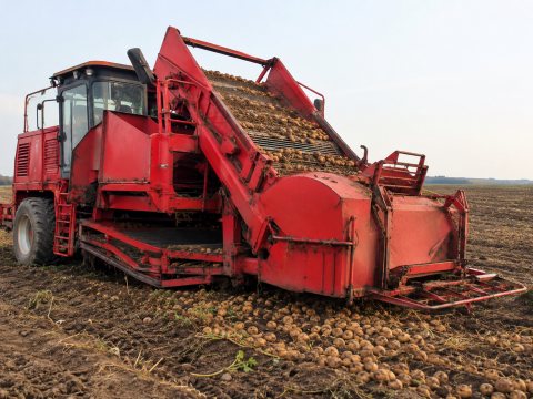 Ciągniki rolnicze Land Trac — ogłoszenie demo