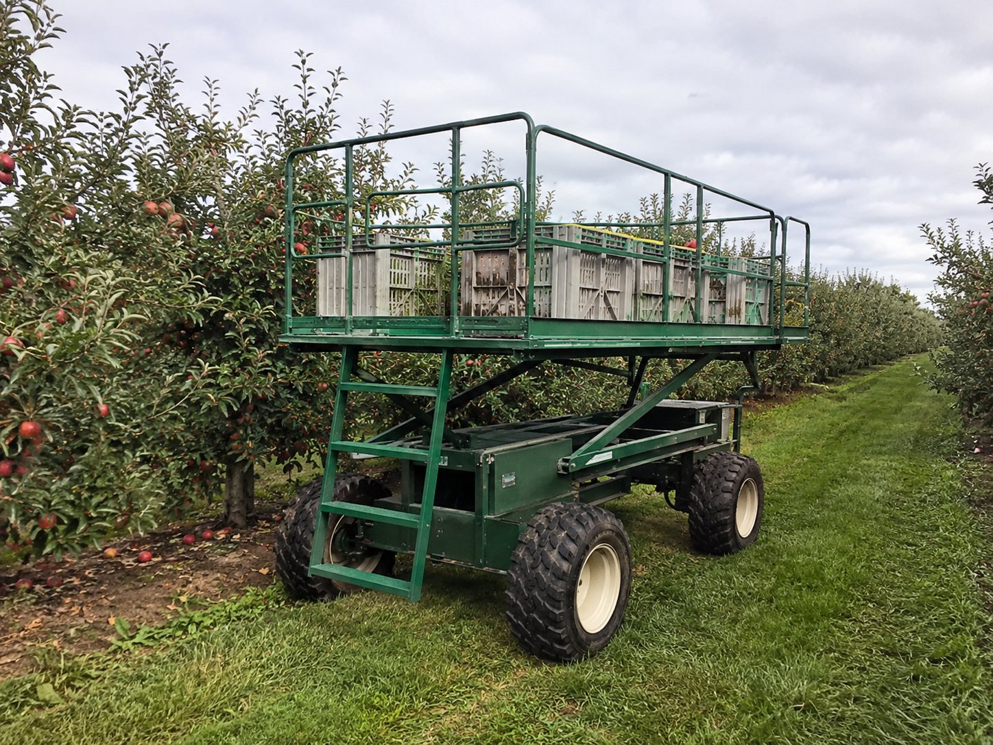 Ciągniki rolnicze Massey Ferguson — ogłoszenie demo